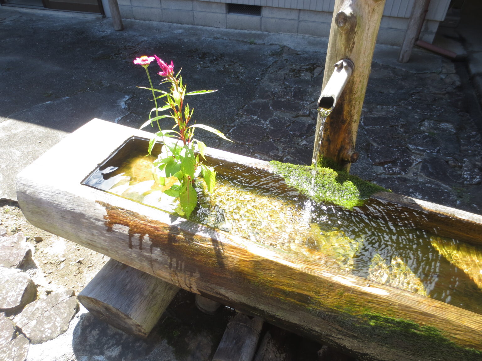 さだまさし関連 十津川村立十津川中学校 校歌「千年の祈り」 邦楽